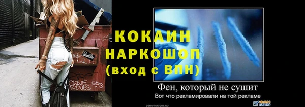 ешки Алексин