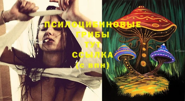 ешки Алексин