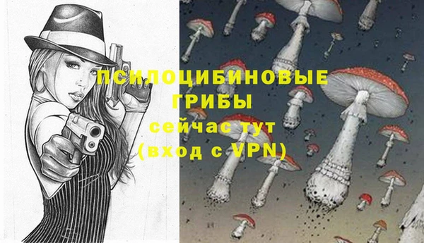 ешки Алексин