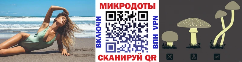 Псилоцибиновые грибы Psilocybe  Шелехов 